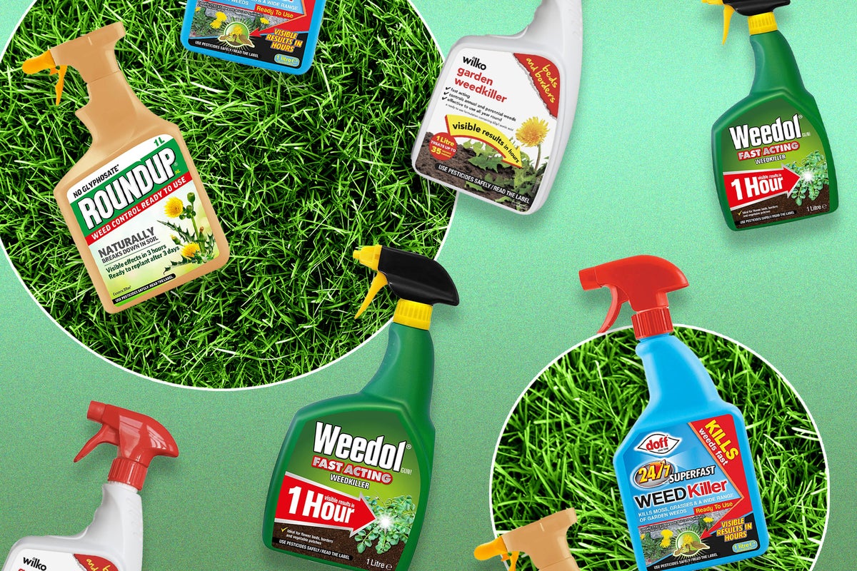 Weed Killers for Every Spot: Lawns, Patios, & Flower Beds